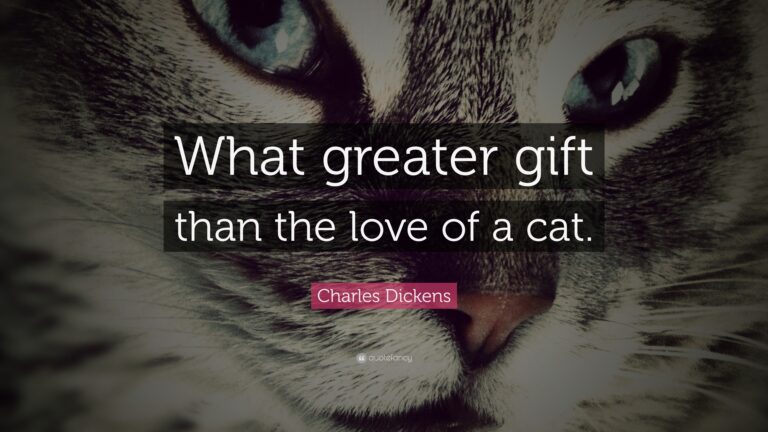 What Greater Gift Than the Love of a Cat?